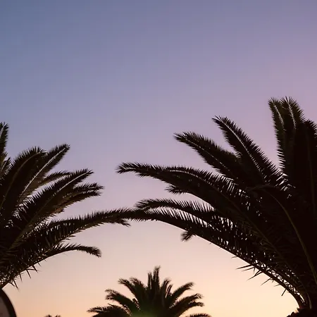 Casa Dyala, Πουέρτο Ντελ Κάρμεν